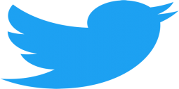 Twitter is up for sale, so why is it failing to find a buyer? - Techzim