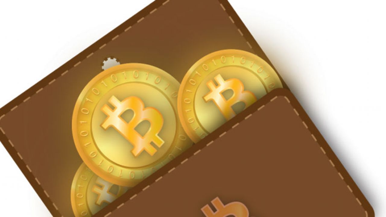 Bitcoin 101 Understanding The Basics Key Issues Techzim - 