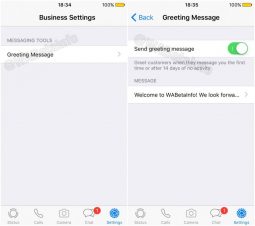 download whatsapp business for ios 6