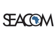 SEACOM restores cable connectivity for customers via alternative routes ...